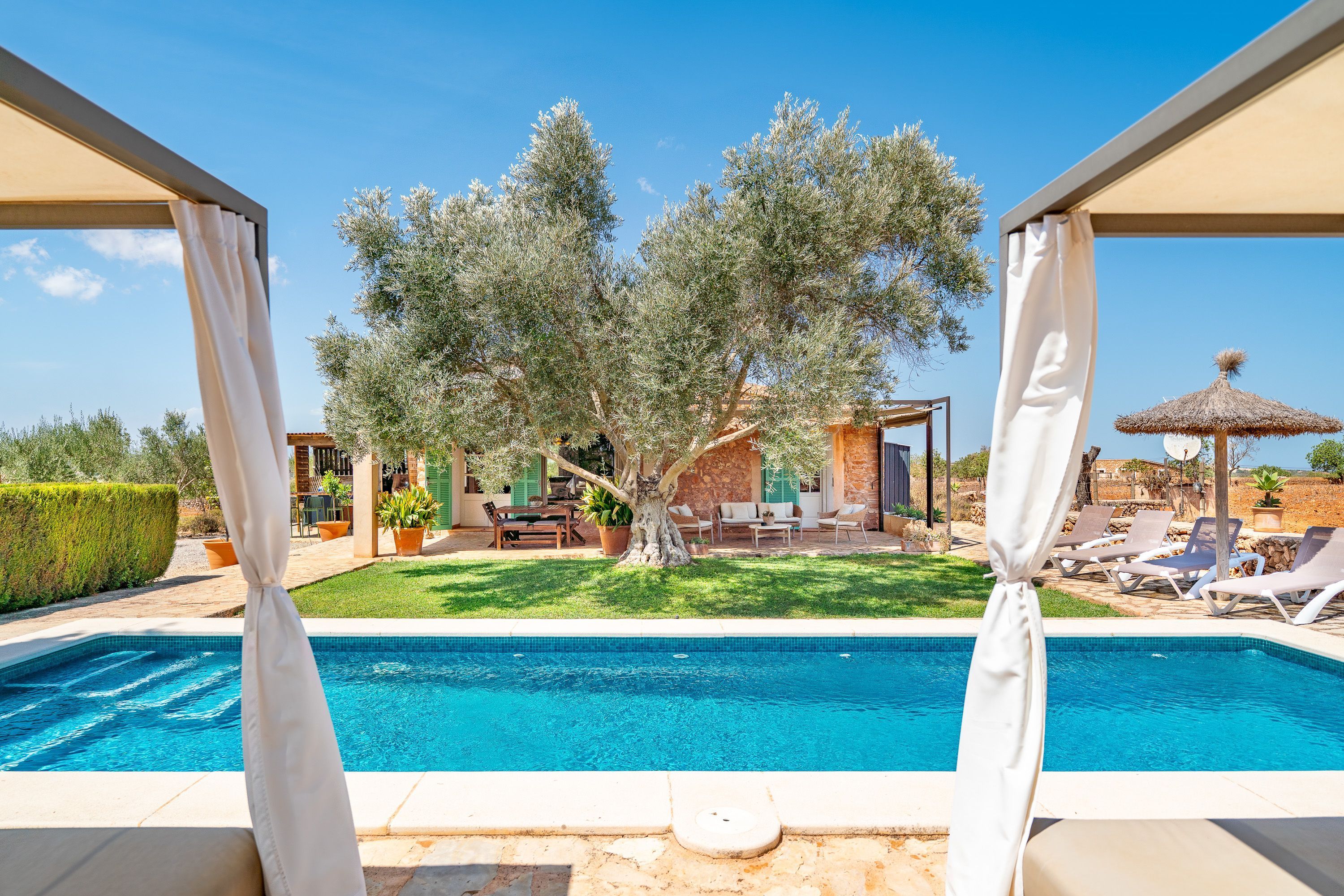 A swimming pool with a view of a house and garden.