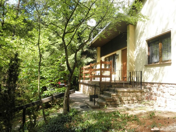 Unclassified image, 1 of 11, button