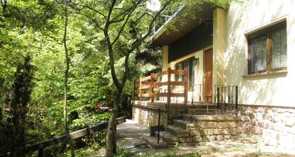 Ferienhaus Cranach-Idyll