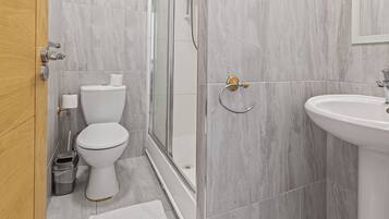 Une salle de bain équipée de toilettes, d’une douche, d’un lavabo et d’une porte en bois.