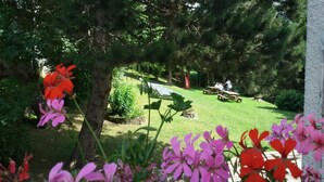 Un jardí amb taules de picnic, un parc infantil i un arbre al primer pla.