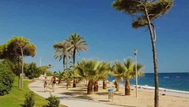 Une promenade en bord de mer, bordée de palmiers, avec des bancs et une vue dégagée sur la mer.