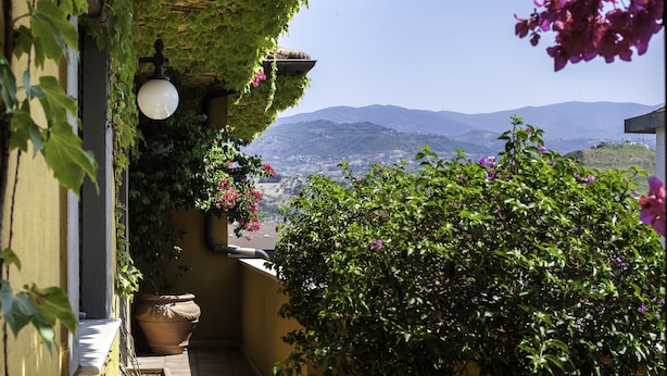 A balcony with potted plants and a view of distant hills.
