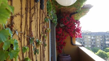 A yellow wall with vines and a red flowering plant.