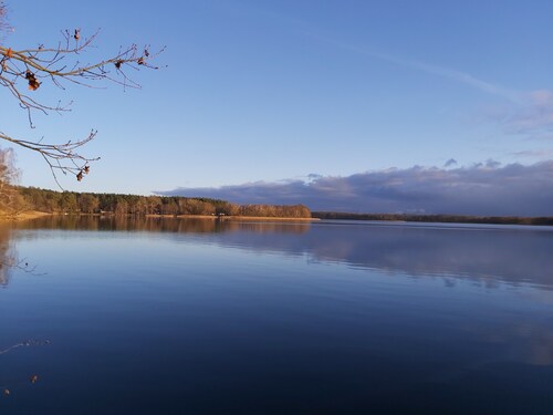 Between forest and lake ...