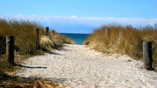 Un sentier de sable qui longe la plage et mène à l’océan, bordé de hautes herbes et de poteaux en bois.