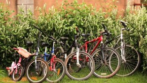 Bicycles parked against a wall with a hedge in the background. - Manaona Guest House (Antananarivo)