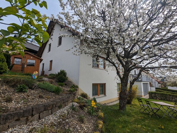 Una casa blanca con jardín, una estructura de madera y un árbol con flores blancas.