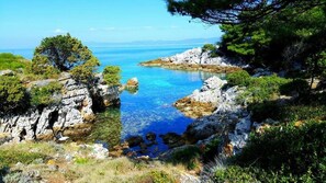 Plongée sous-marine