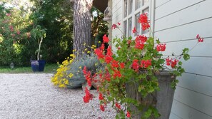 Terrace/patio - Hôtel Canto Cigalo (St.-Remy-de-Provence)