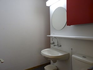 A bathroom with a white sink, a toilet, and a mirror above the sink.