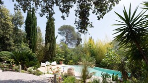 Un jardin aménagé avec une piscine, entouré de différentes plantes et arbres.