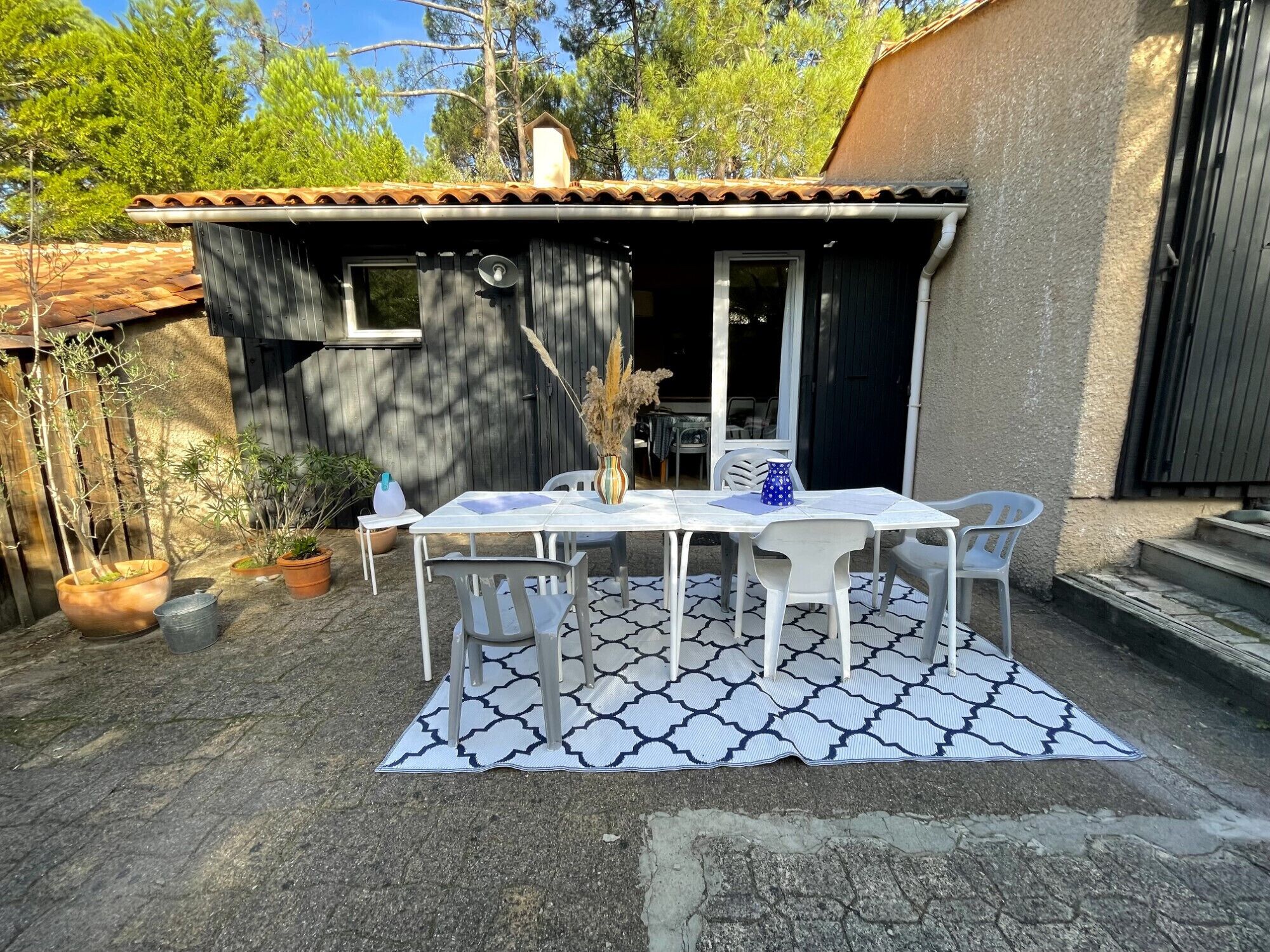 A patio with a table and chairs, surrounded by potted plants and a patterned rug.