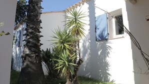 Un cortile con una palma, un albero alto dalle foglie appuntite, e un edificio con una finestra e un portone.