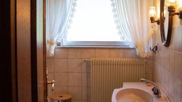 Shower, hair dryer