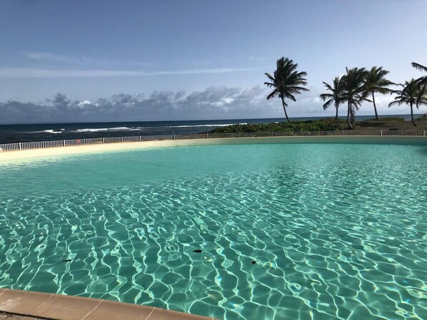 A clear pool with a view of the ocean and palm trees.