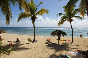 Beach nearby - Studio Sea View LeLagon Anse Des Rochers Canna App123 (Saint-François)