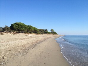 Plage à proximité, serviettes de plage