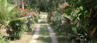 T2 houses, 4pers full nature, calm and quiet place, beach 5mn walk