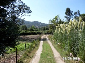 Property grounds -  T2 houses, 4pers full nature, calm and quiet place, beach 5mn walk  (Cargèse)