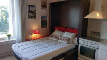 1 bedroom, iron/ironing board, WiFi, wheelchair access