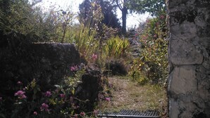 Una escalera de piedra conduce a un jardín con diversas plantas y flores.