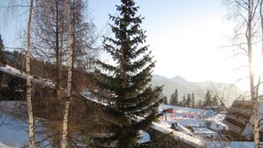 A snowy landscape with a prominent evergreen tree in the foreground, a ski slope in the background, and a clear sky. - Large studio for 4 at Arc 1600 with wifi and pets allowed (Les Arcs 1600)