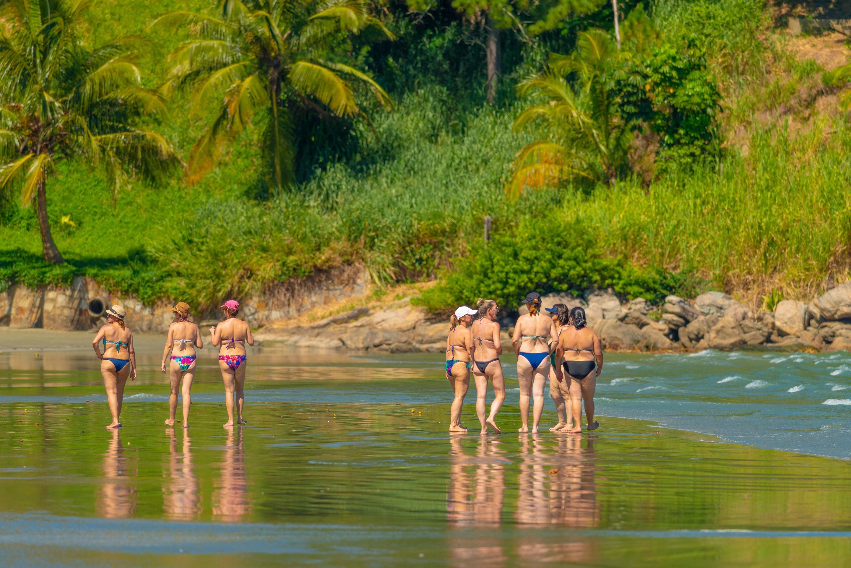Un grupo de personas en aguas poco profundas en una playa, con palmeras y vegetación al fondo.