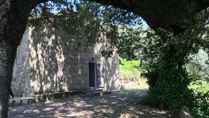 An outdoor stone building with a door and steps leading up to it, surrounded by trees and a gravel path. - Charming traditional home in the quiet groves. 10 minutes from beaches (Sartene)