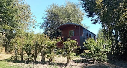 Gypsy caravan in the middle of the countryside in Mont-Saint-Michel bay for 2 to 4 people.