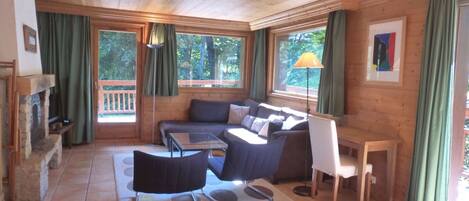 Télévision, cheminée, lecteur de DVD