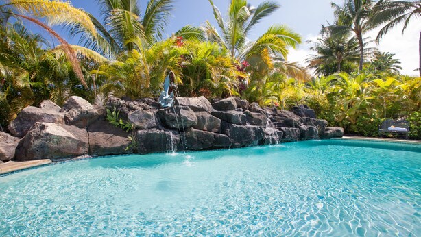 Una piscina azul cristalina con una cascada de roca, rodeada de exuberante vegetación tropical.