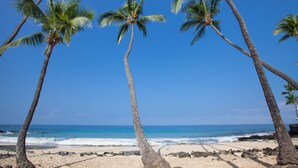 Una playa con palmeras, cielo azul despejado y olas del océano.