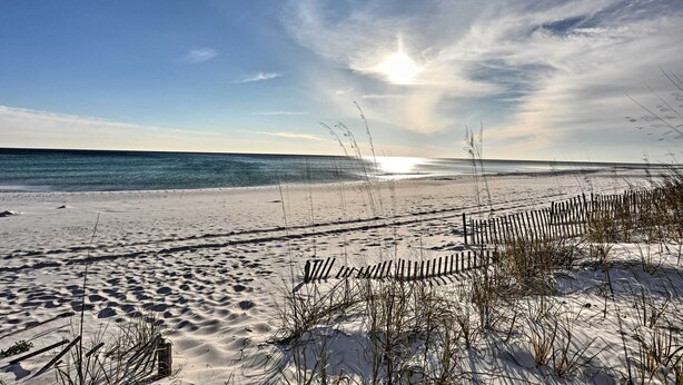 A beach with a wooden fence and sparse vegetation.