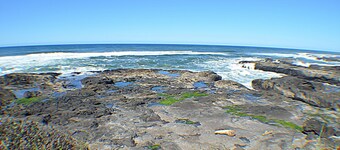 Doc's Retreat - Yachats Ocean Front
