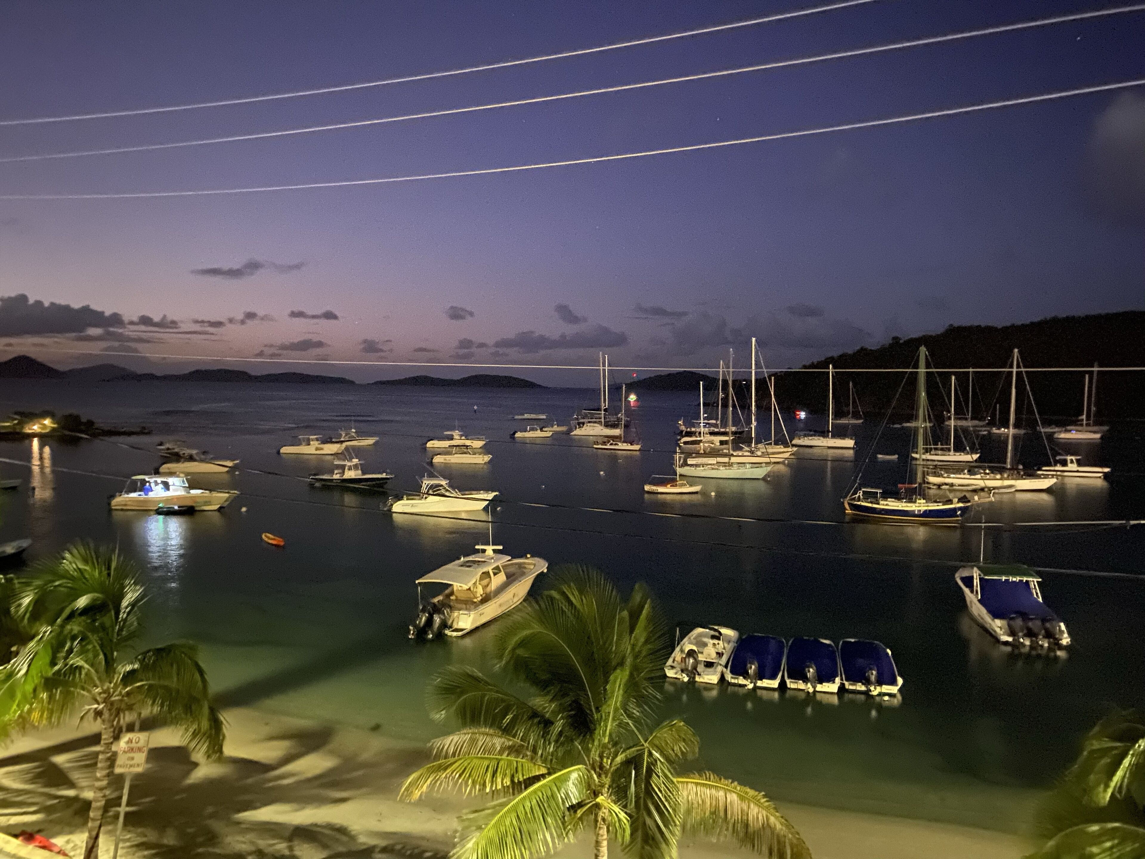 Un puerto deportivo de noche con barcos amarrados y palmeras al frente.