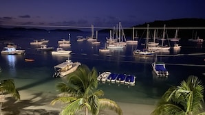 Ein Yachthafen bei Nacht mit vertäuten Booten und Palmen im Vordergrund.