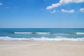 On the beach - 🏖️Pelican Watch 201: Sundeck | Community Indoor and Outdoor Pools | Hot Tub🏖️ (Carolina Beach)