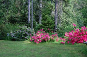 Property grounds - Parksville Errington Hobos Pond Getaway-Pet friendly Barbecue Laundry AC Parking (Errington)