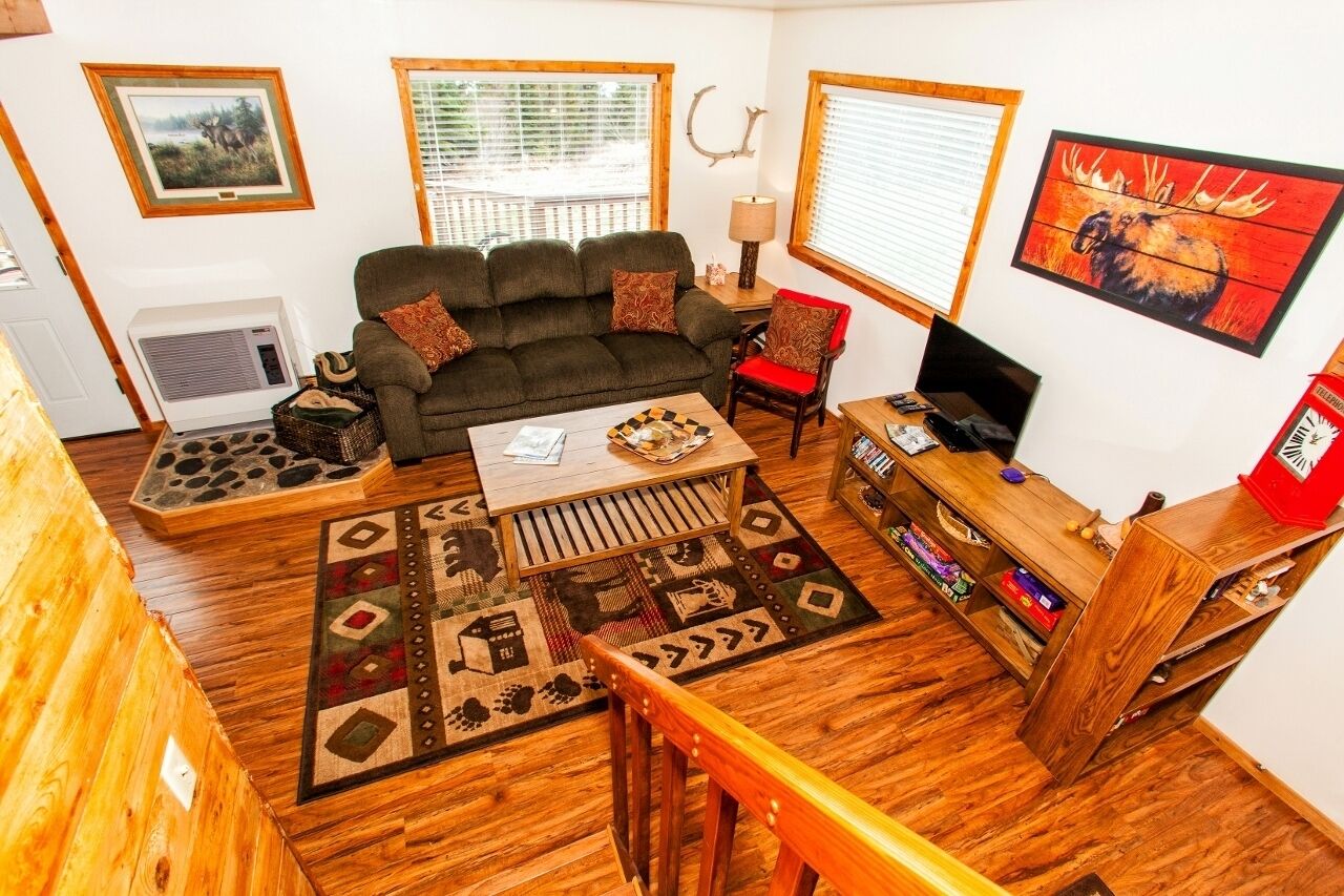 TV connectée, cheminée, lecteur de DVD, livres