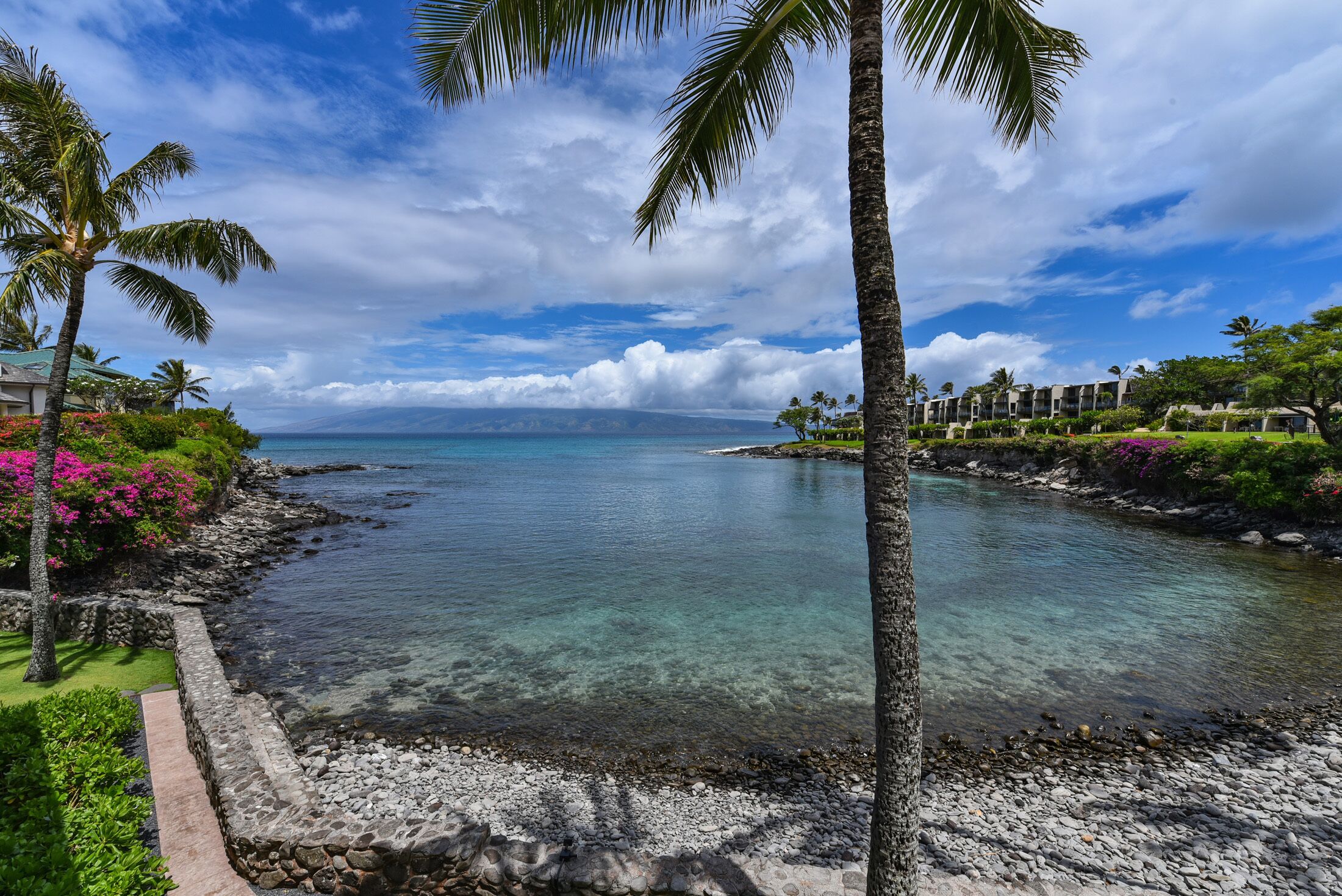 Gorgeous condo #203 View of Honokeana Cove