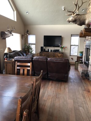 テレビ、暖炉、DVD プレーヤー、ステレオ