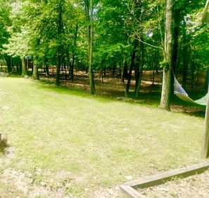 Un espace herbeux avec des arbres et un hamac.
