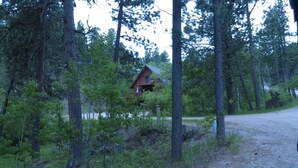 Una cabaña rodeada de altos árboles, accesible por un camino de grava.
