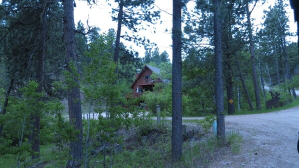 Une cabane entourée de grands arbres, accessible par un chemin de gravier.
