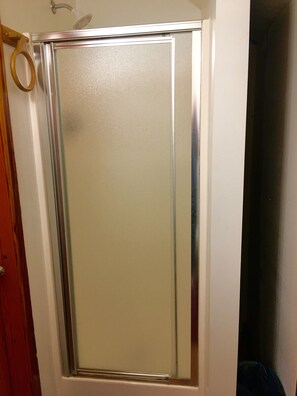 A bathroom with a glass shower enclosure, a wooden door, and a white wall.