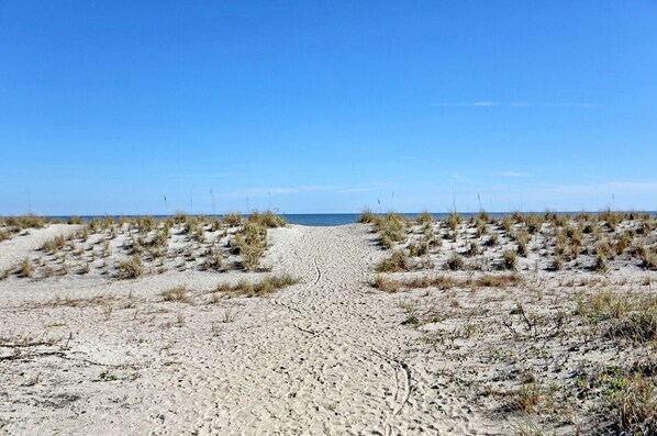 On the beach - Beachfront Condo 227 with brand new pool Luxury 2 BR at Beachside Colony (Tybee Island)