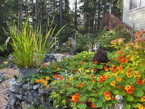 Property grounds - Dog friendly hideout next door to Doe Bay Resort on Washington's Orcas Island (Olga)