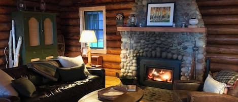 Smart TV, fireplace, books, stereo