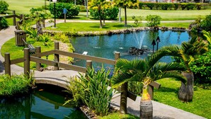 Um lago tranquilo com uma ponte de madeira, cercado por vegetação exuberante e palmeiras.